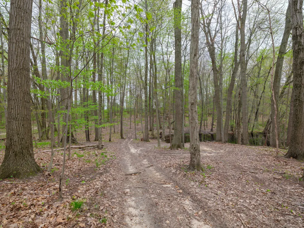 22431 Paulson Road Pine Grove Township, MI 49055