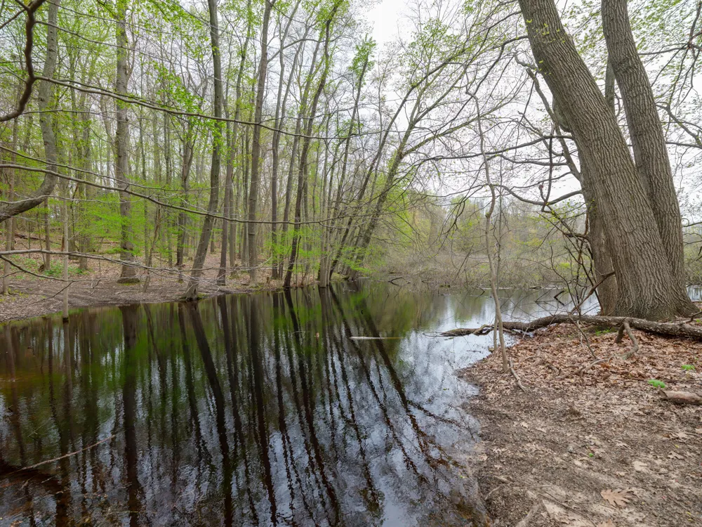 22431 Paulson Road Pine Grove Township, MI 49055