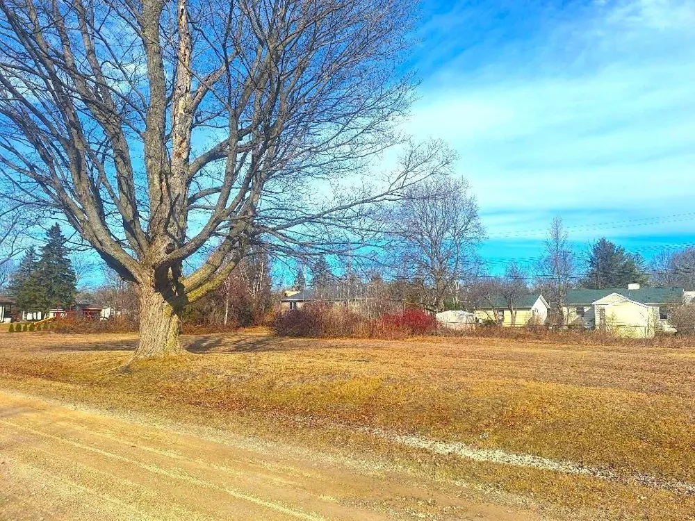 Blue Water Boulevard Worth Township, MI 48450