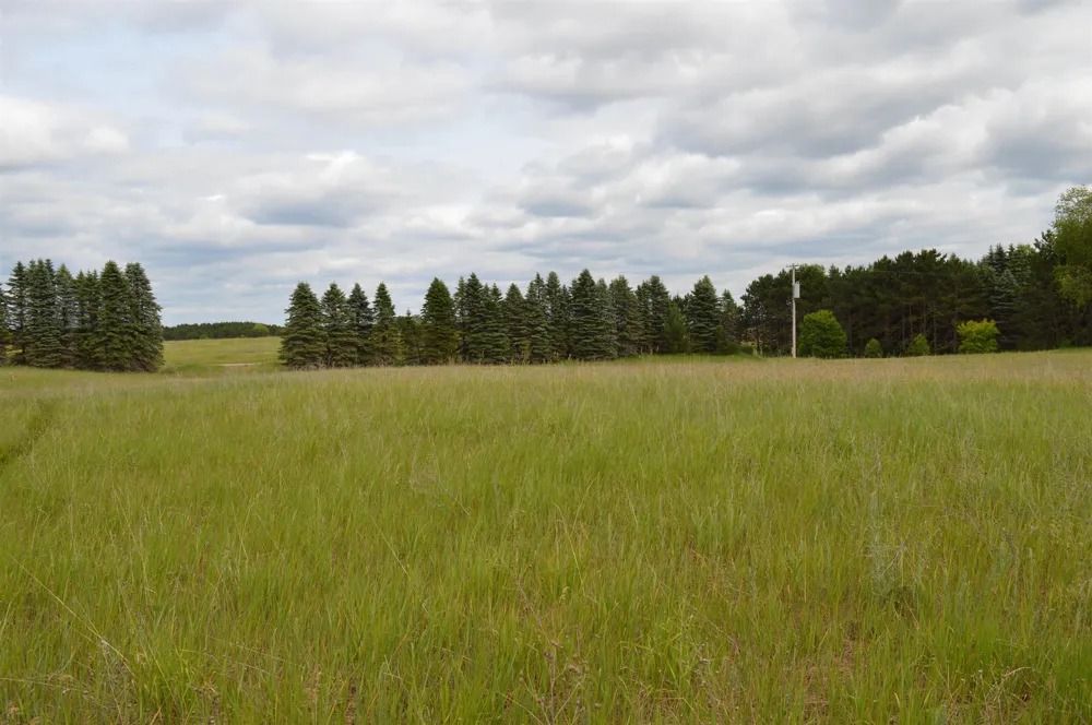 Summit City Road Paradise Township, MI 49649