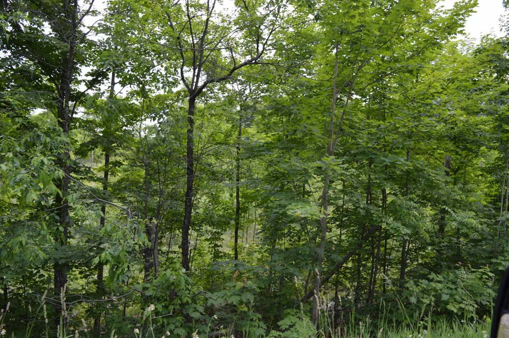 Summit City Road Paradise Township, MI 49649