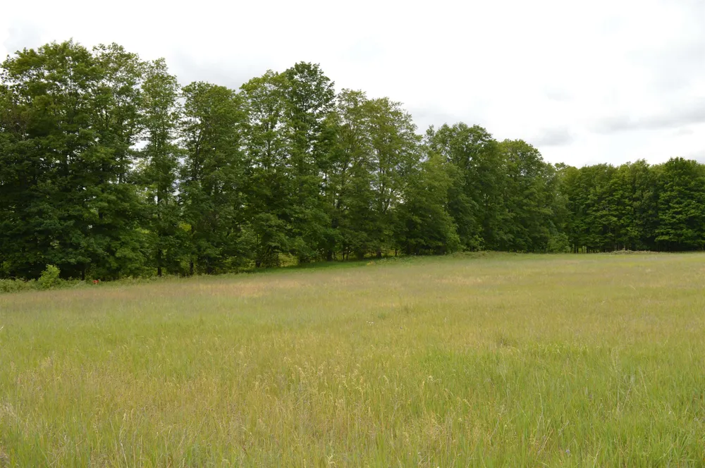 Summit City Road Paradise Township, MI 49649