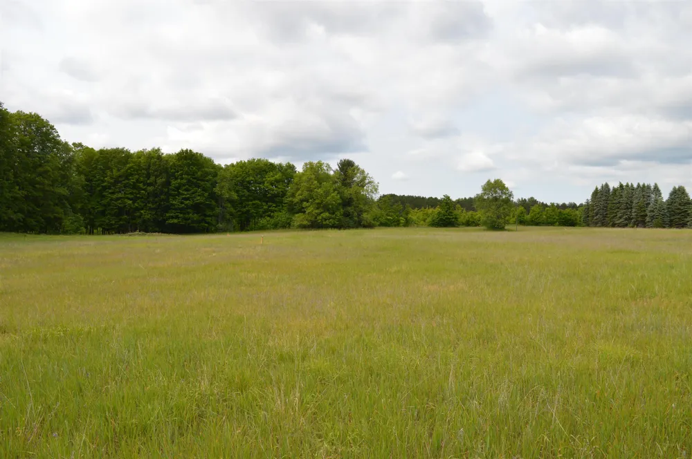 Summit City Road Paradise Township, MI 49649