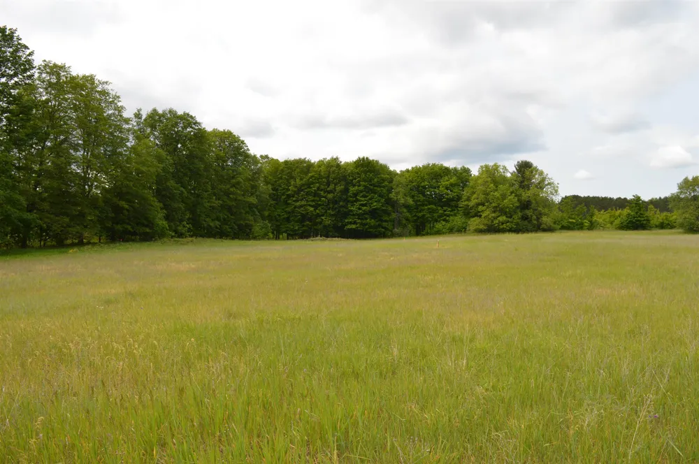 Summit City Road Paradise Township, MI 49649