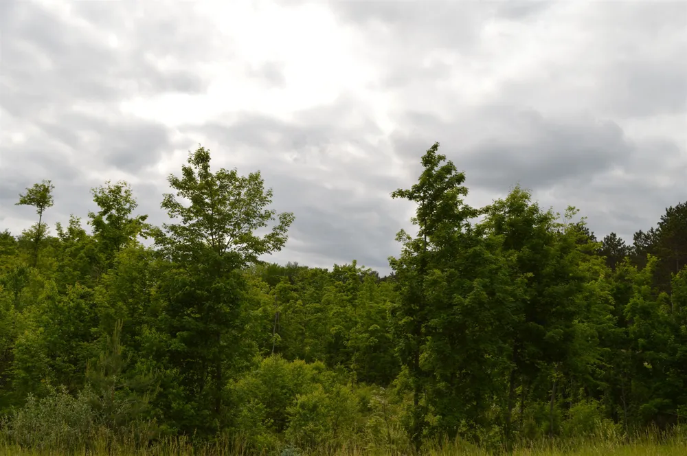 Summit City Road Paradise Township, MI 49649