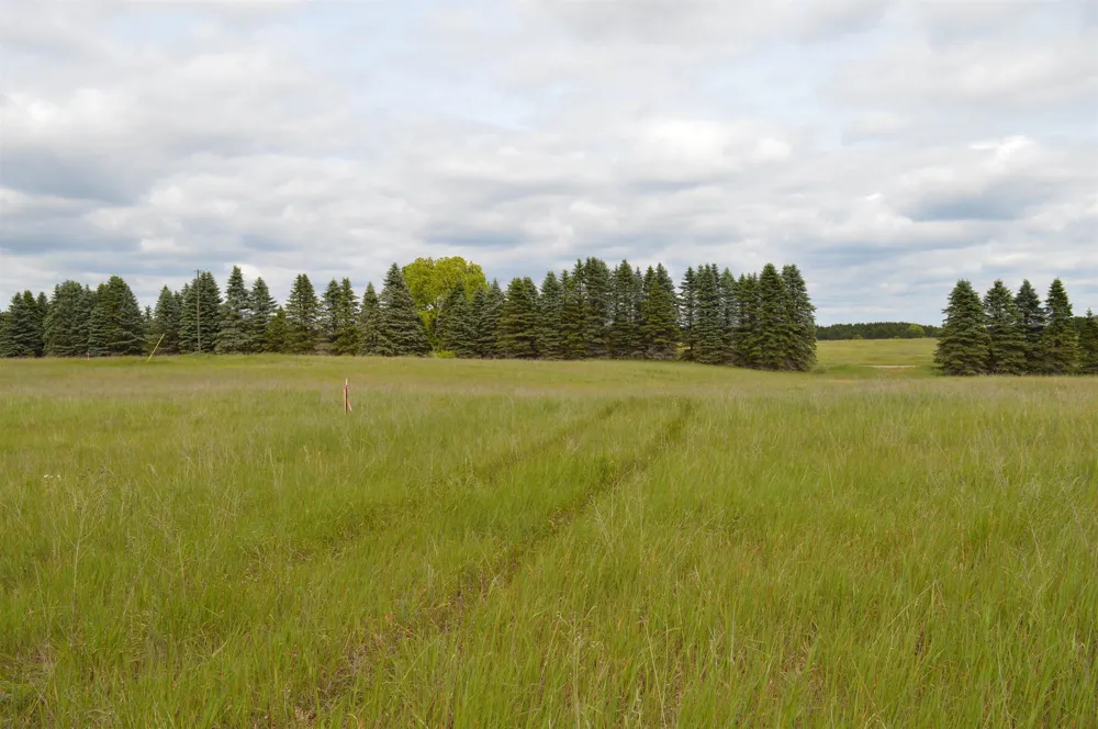 Summit City Road Paradise Township, MI 49649