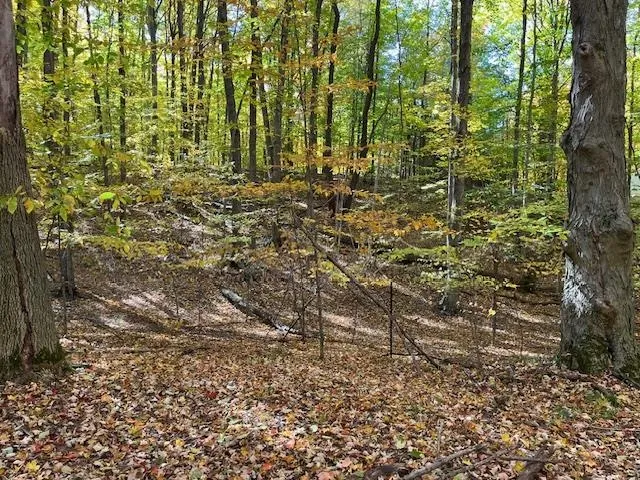 Glory Road Crystal Lake Township, MI 49635