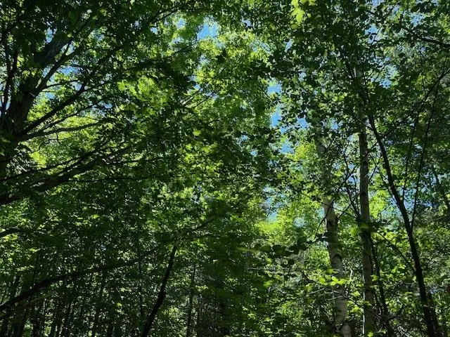 Glory Road Crystal Lake Township, MI 49635
