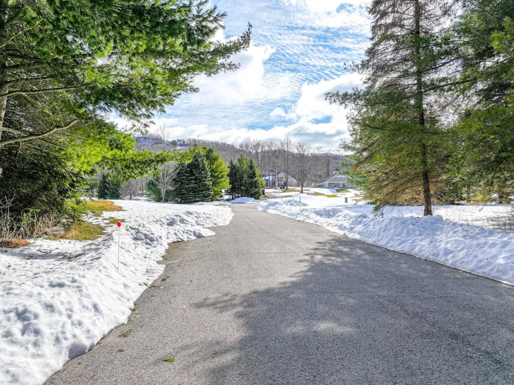 S Club Drive Cleveland Township, MI 49621