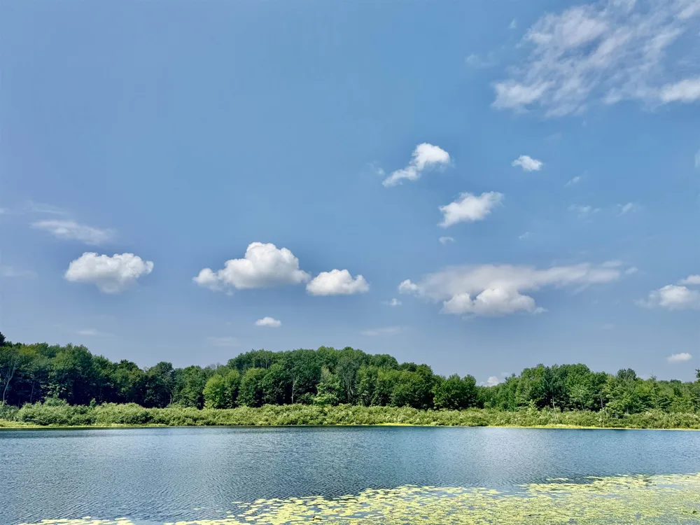 16121 130th Avenue Rose Lake Township, MI 49655