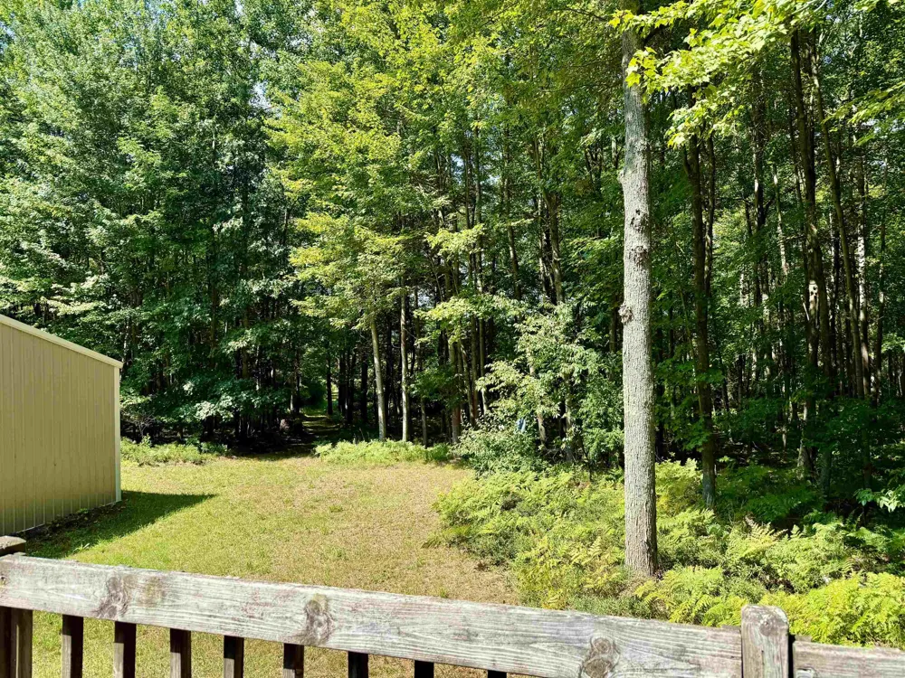 16121 130th Avenue Rose Lake Township, MI 49655