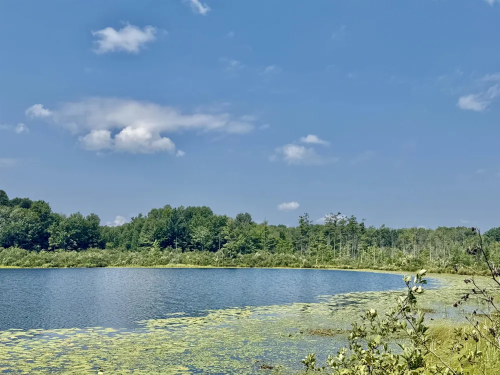16121 130th Avenue Rose Lake Township, MI 49655