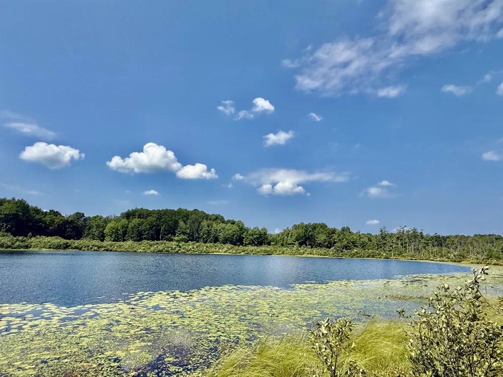 16121 130th Avenue Rose Lake Township, MI 49655