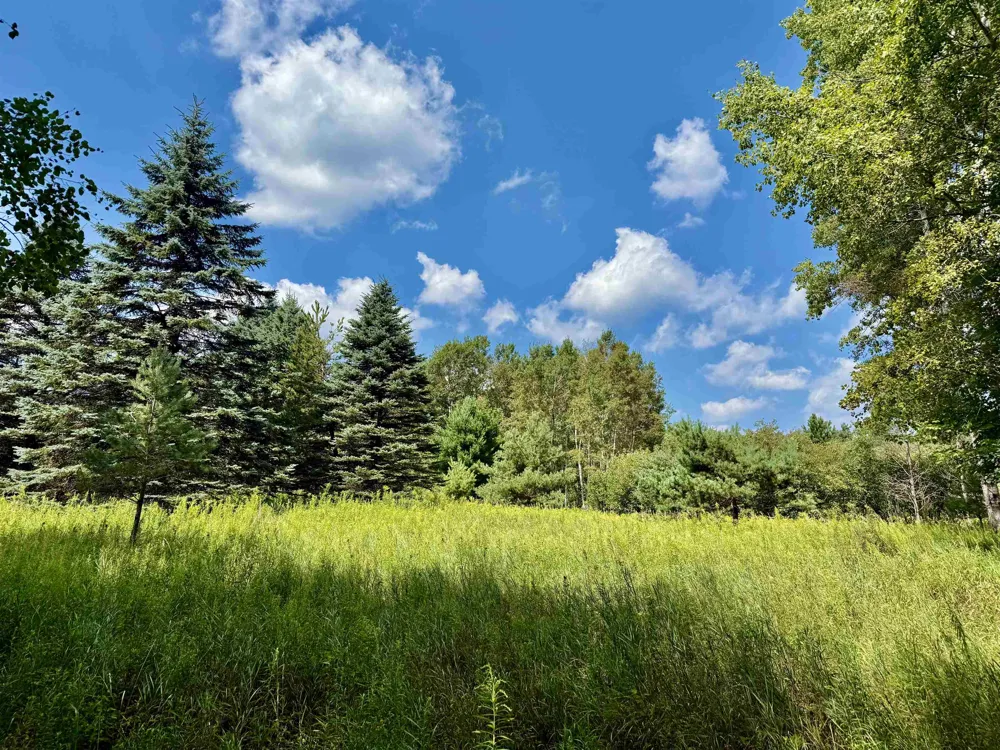 16121 130th Avenue Rose Lake Township, MI 49655