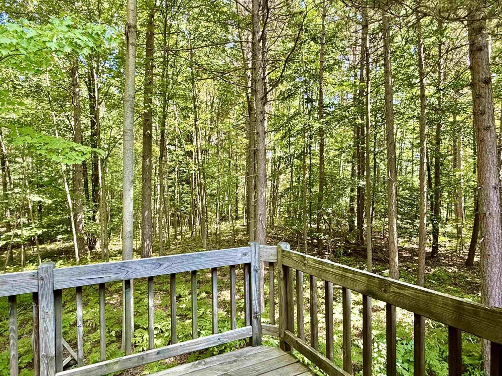 16121 130th Avenue Rose Lake Township, MI 49655