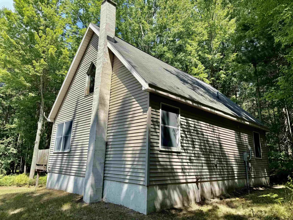 16121 130th Avenue Rose Lake Township, MI 49655