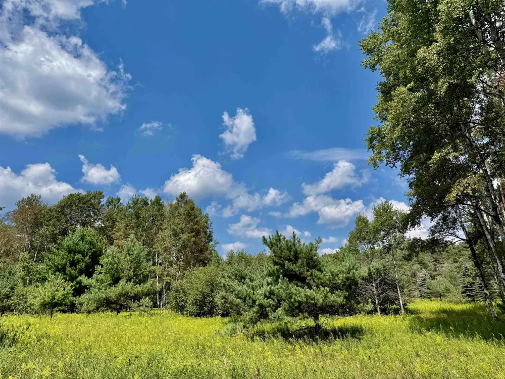 16121 130th Avenue Rose Lake Township, MI 49655
