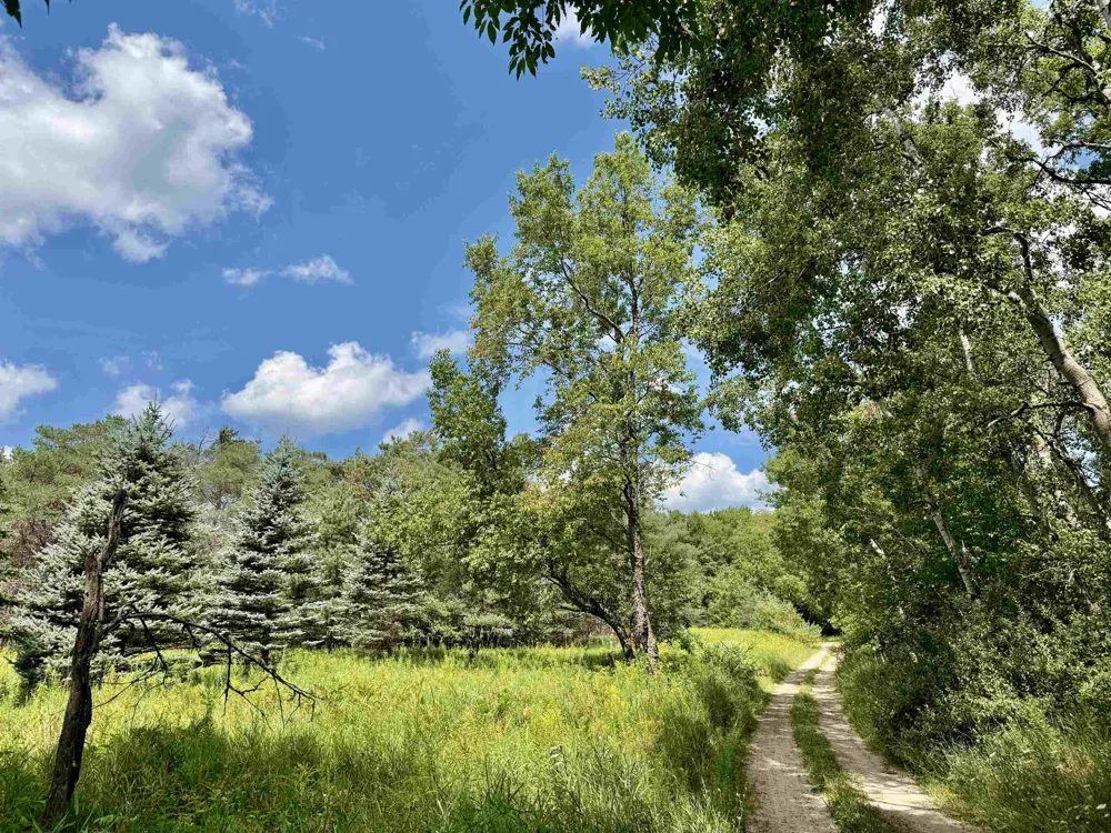16121 130th Avenue Rose Lake Township, MI 49655