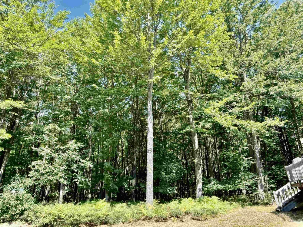 16121 130th Avenue Rose Lake Township, MI 49655