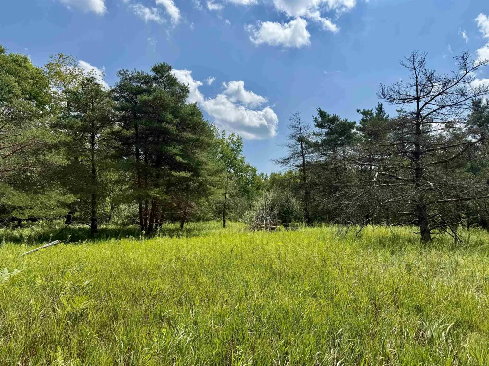 16121 130th Avenue Rose Lake Township, MI 49655