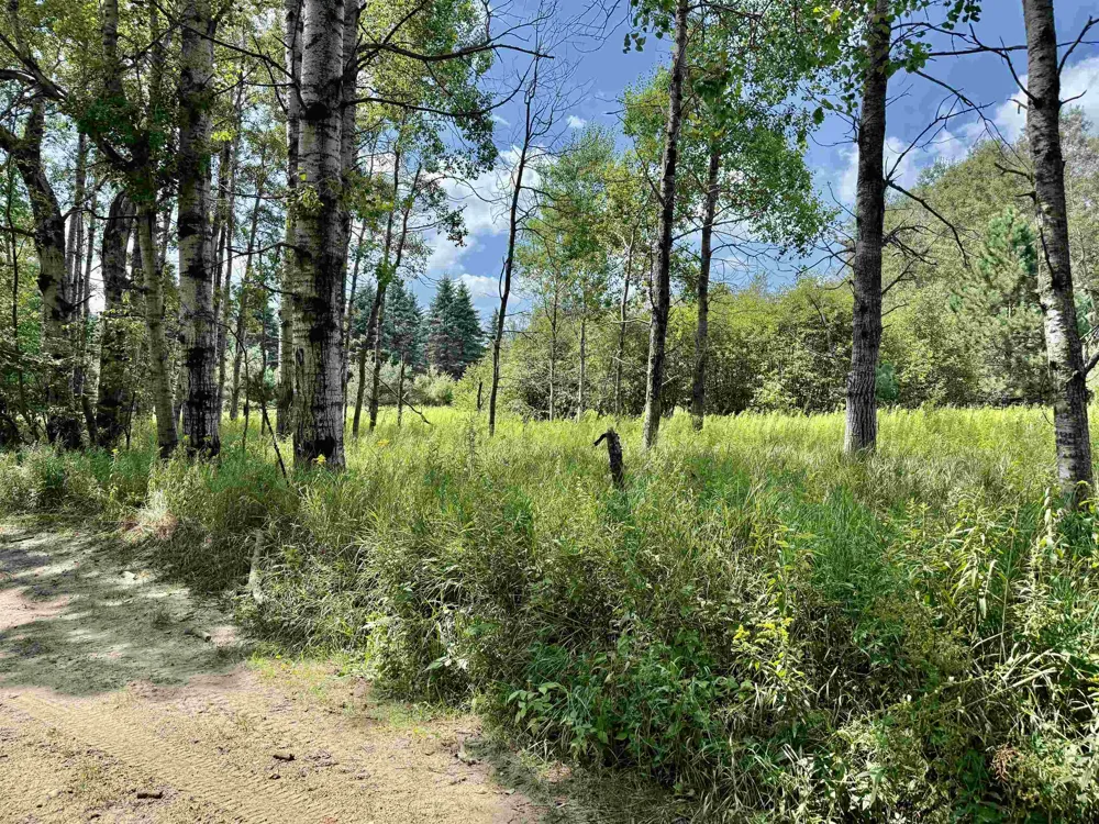 16121 130th Avenue Rose Lake Township, MI 49655