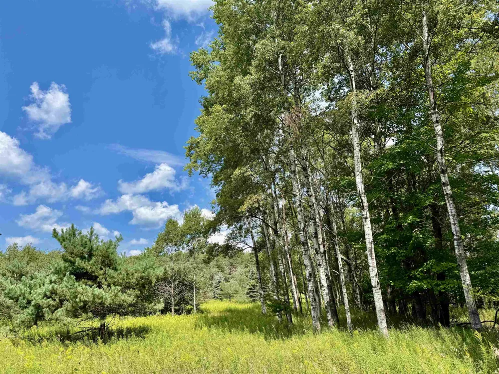 16121 130th Avenue Rose Lake Township, MI 49655