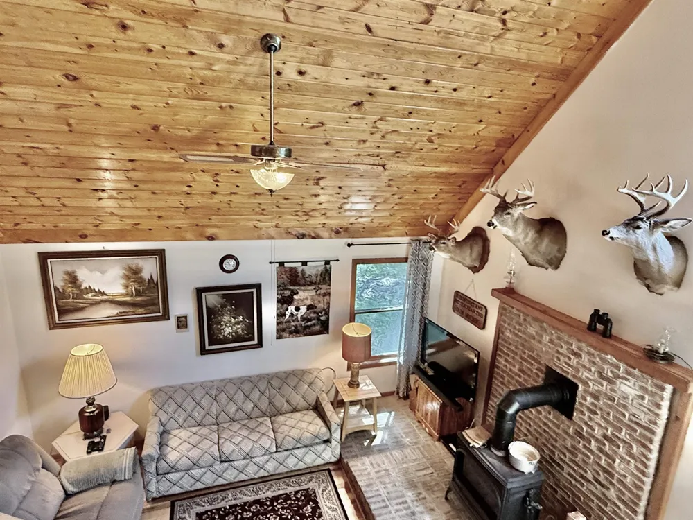 16121 130th Avenue Rose Lake Township, MI 49655