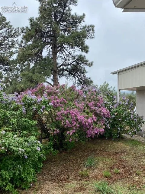 2911 County Road 103 Florence, CO 81226