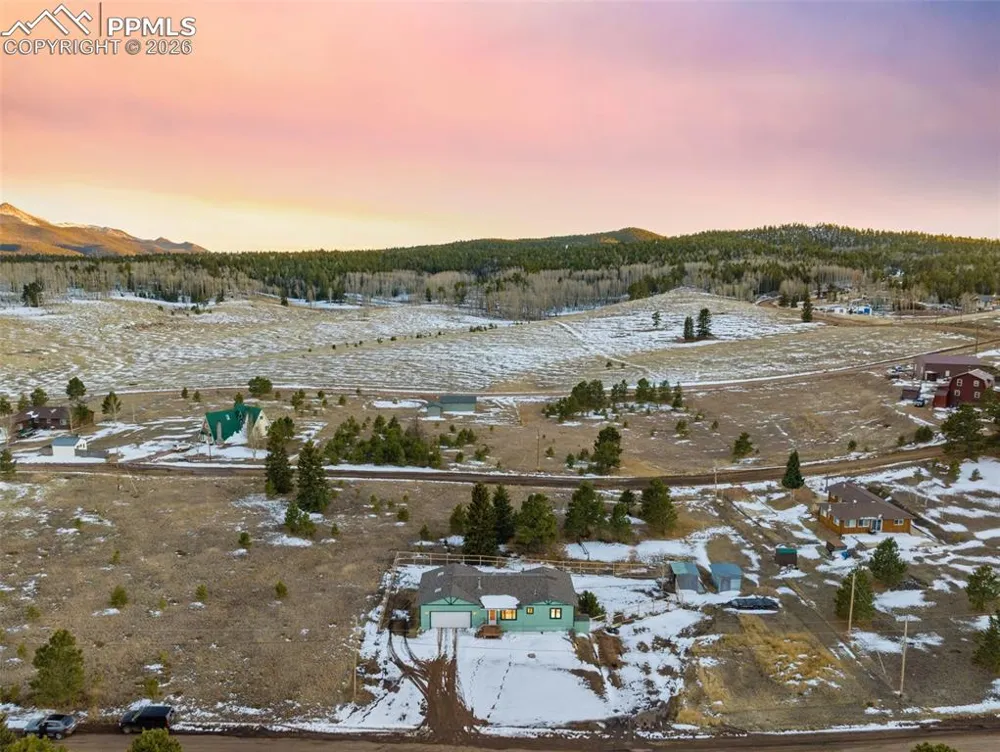 1014 Elfin Glen Drive Divide, CO 80814