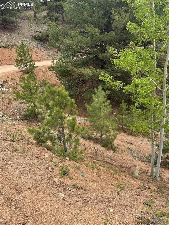 1600 Pikes Peak Drive Divide, CO 80814