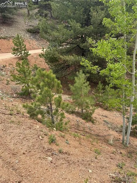 1600 Pikes Peak Drive