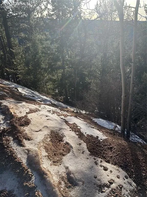 1600 Pikes Peak Drive Divide, CO 80814