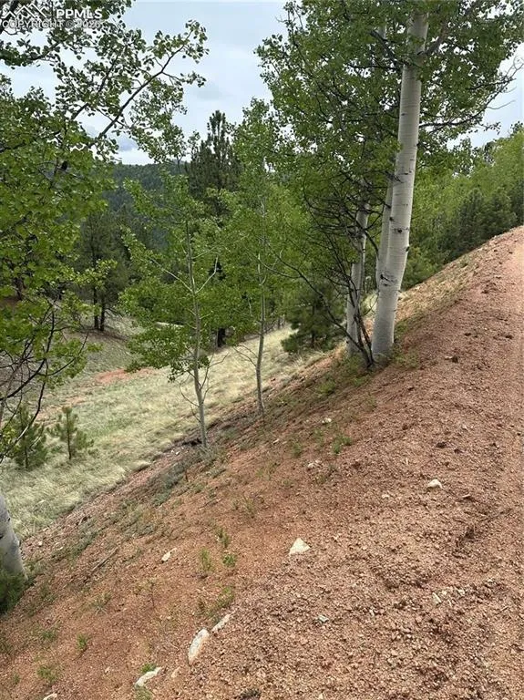 1600 Pikes Peak Drive Divide, CO 80814