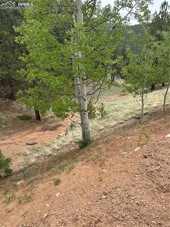 1600 Pikes Peak Drive Divide, CO 80814