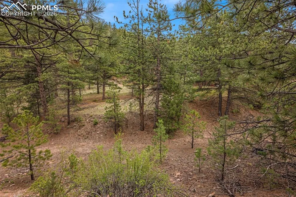 776 County Road 26 Canon City, CO 81212