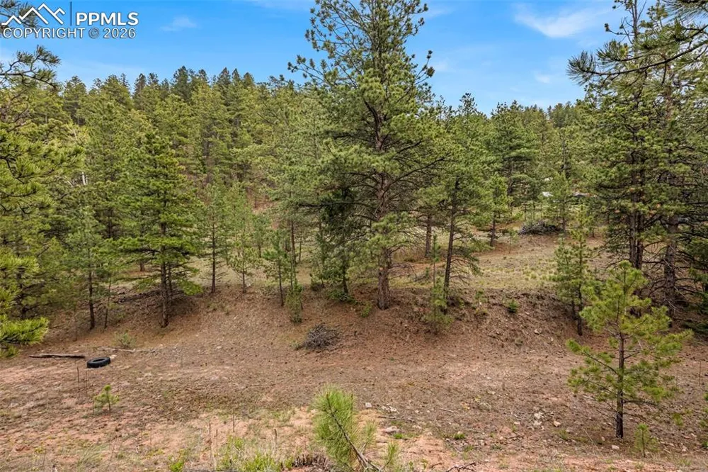 776 County Road 26 Canon City, CO 81212
