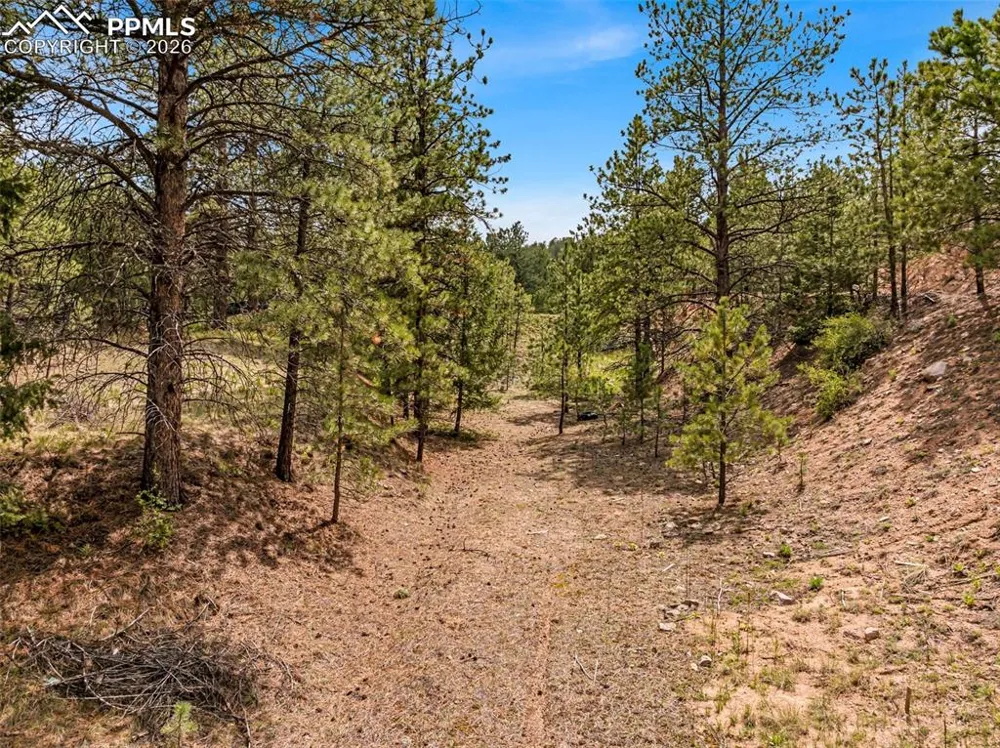 776 County Road 26 Canon City, CO 81212