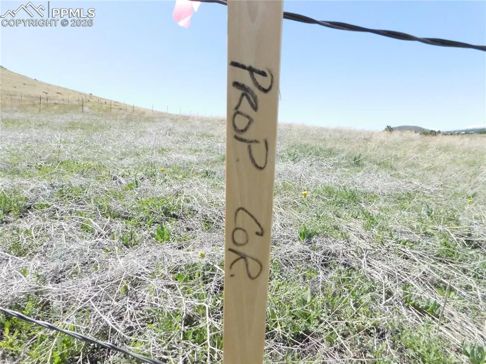 11972 Haskel Creek Road Larkspur, CO 80118