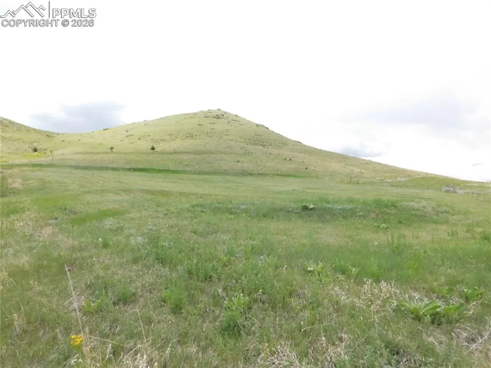 11972 Haskel Creek Road Larkspur, CO 80118