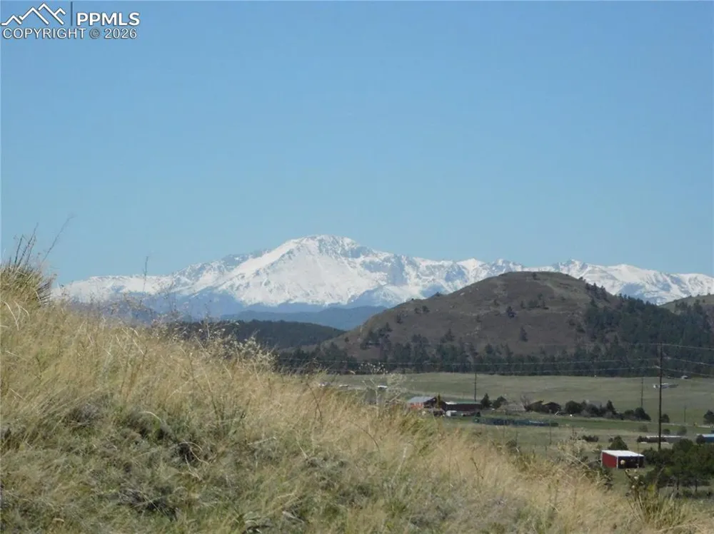 11972 Haskel Creek Road Larkspur, CO 80118