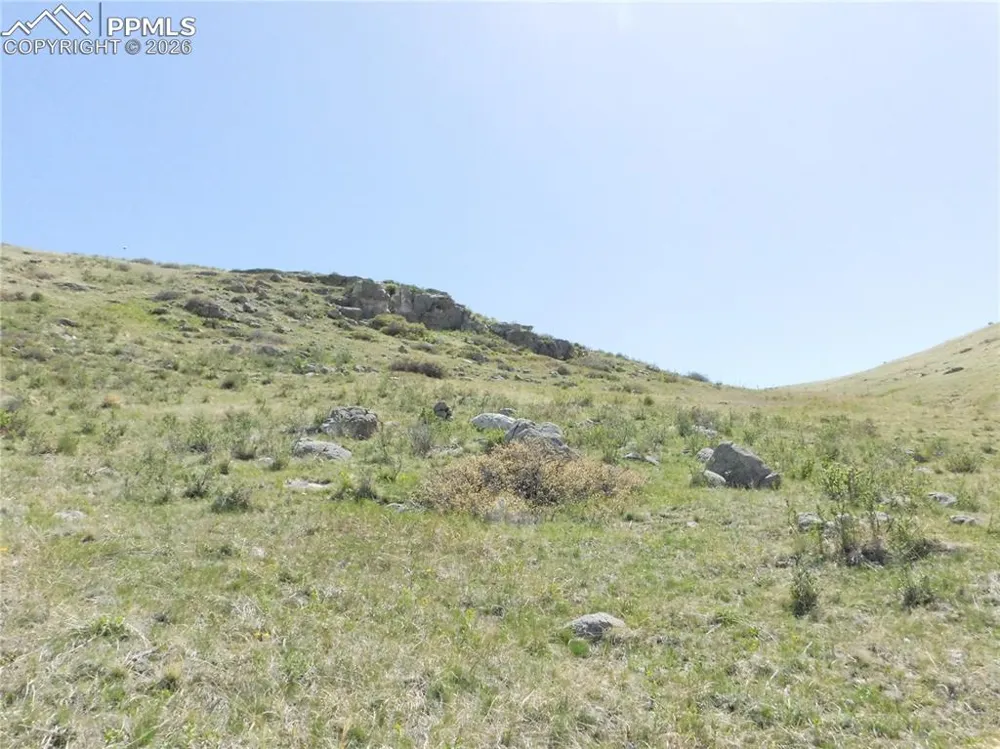 11972 Haskel Creek Road Larkspur, CO 80118