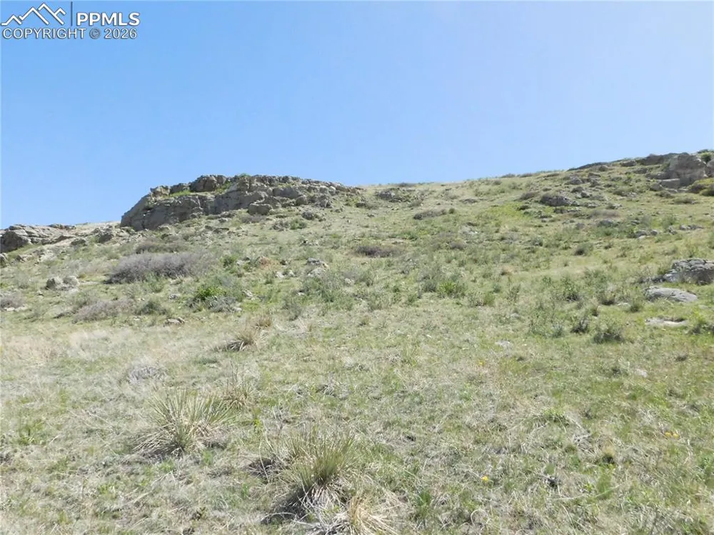 11972 Haskel Creek Road Larkspur, CO 80118