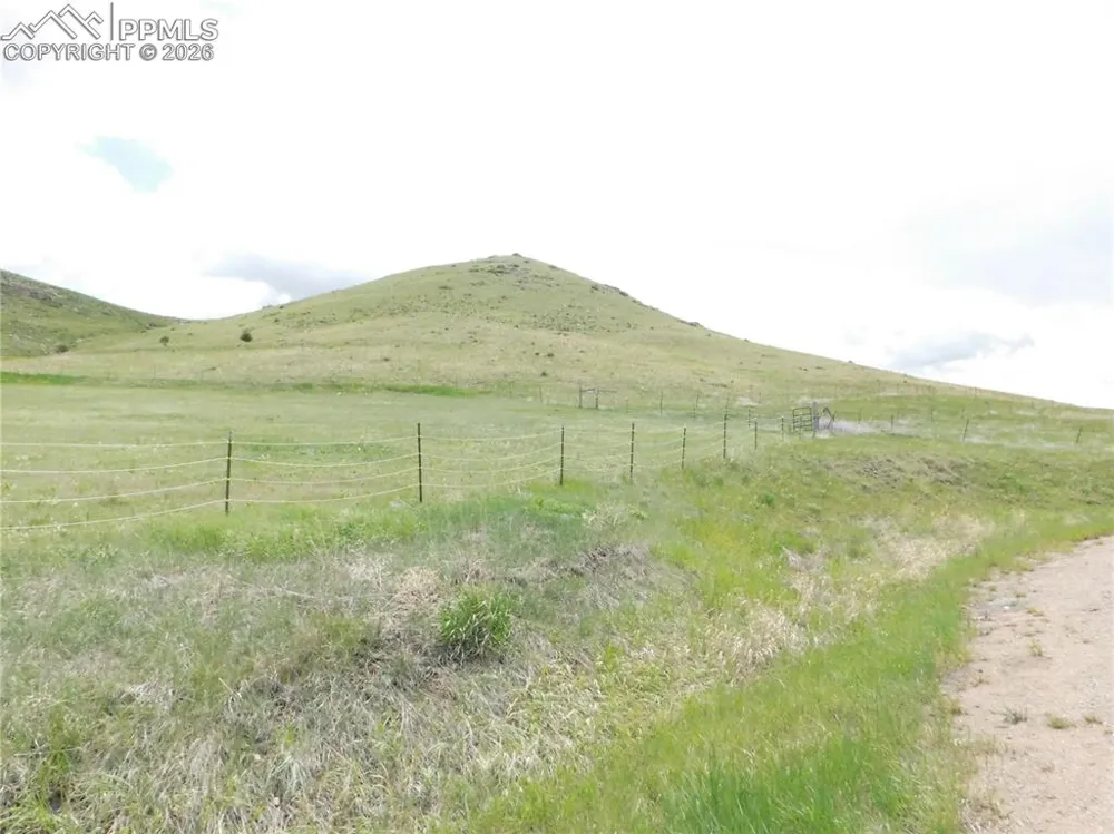 11972 Haskel Creek Road Larkspur, CO 80118