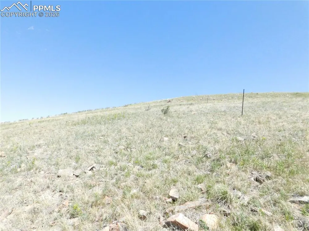 11972 Haskel Creek Road Larkspur, CO 80118
