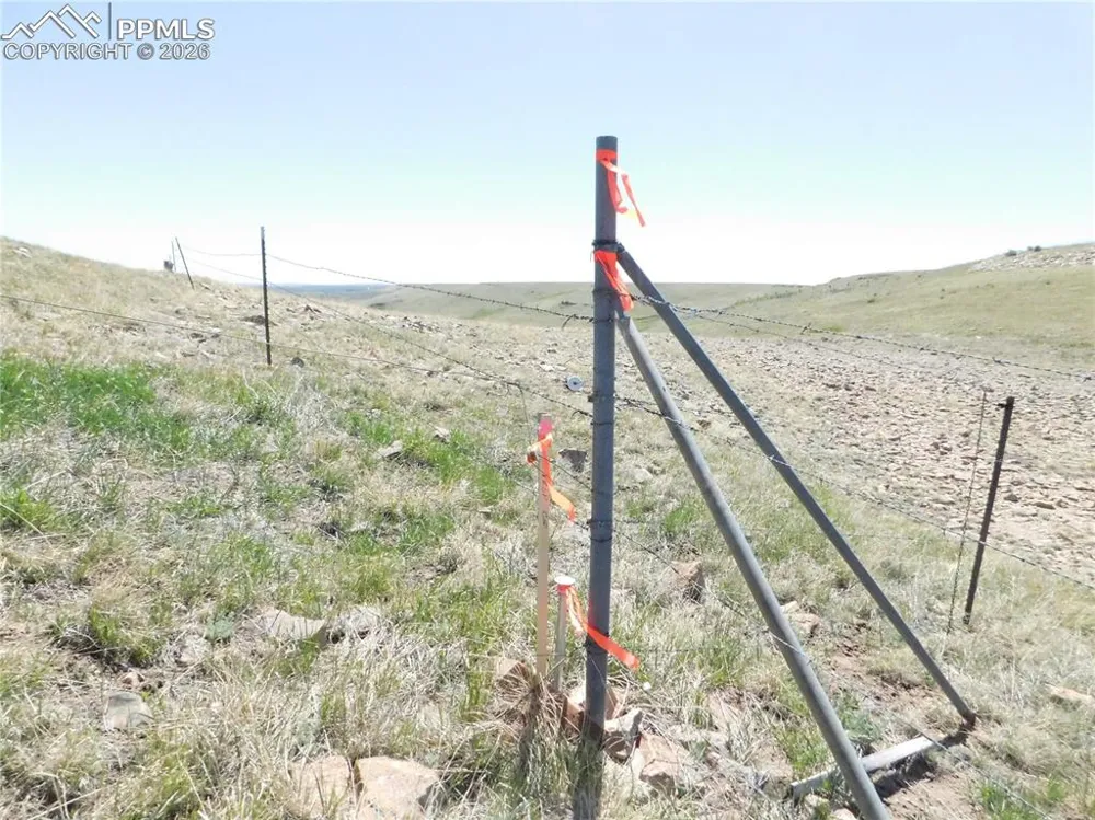 11972 Haskel Creek Road Larkspur, CO 80118