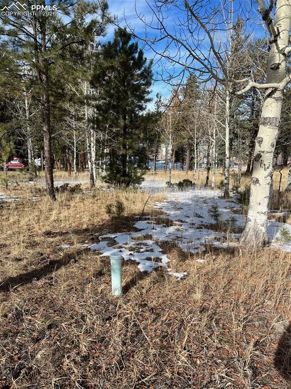 630 PEMBROOK DRIVE Woodland Park, CO 80863