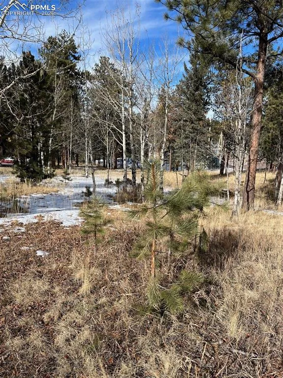 630 PEMBROOK DRIVE Woodland Park, CO 80863