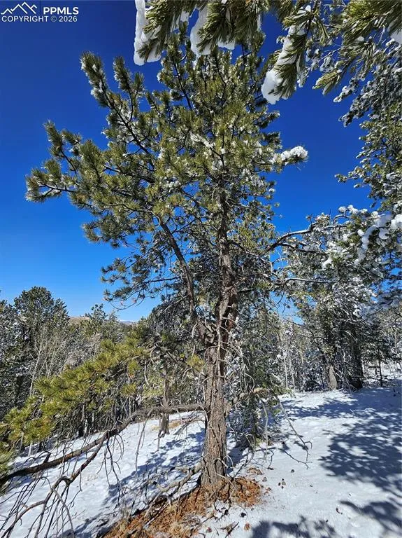 829 Princess Road Cripple Creek, CO 80813
