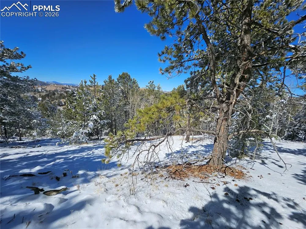 829 Princess Road Cripple Creek, CO 80813