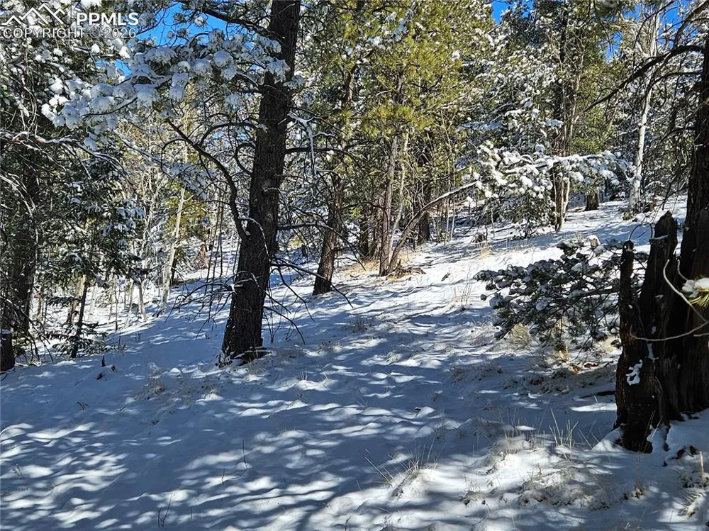 829 Princess Road Cripple Creek, CO 80813